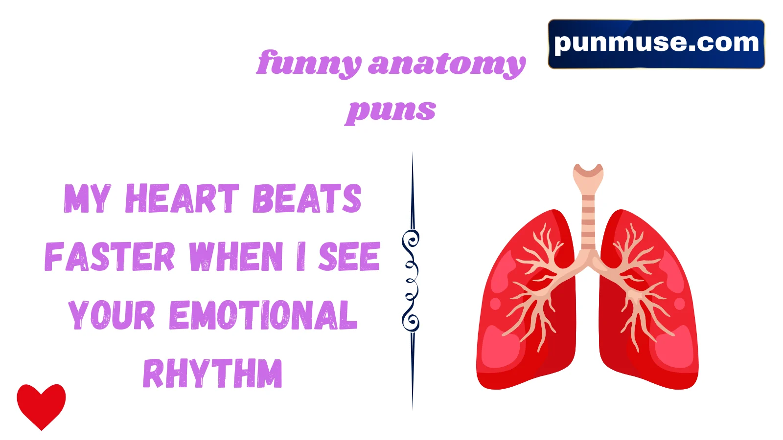 funny anatomy puns