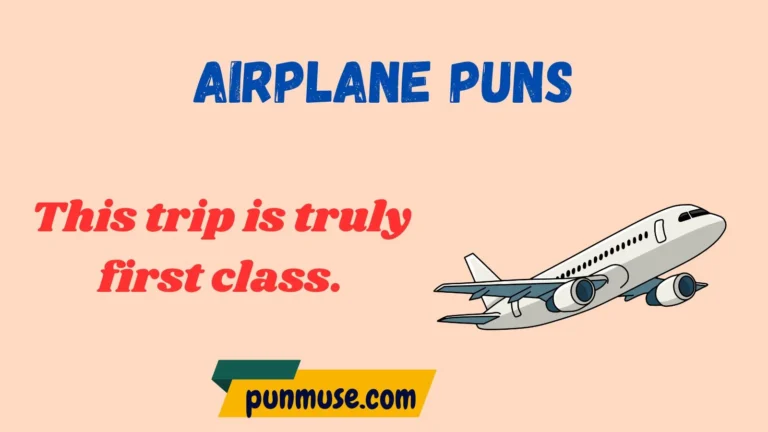 airplane puns
