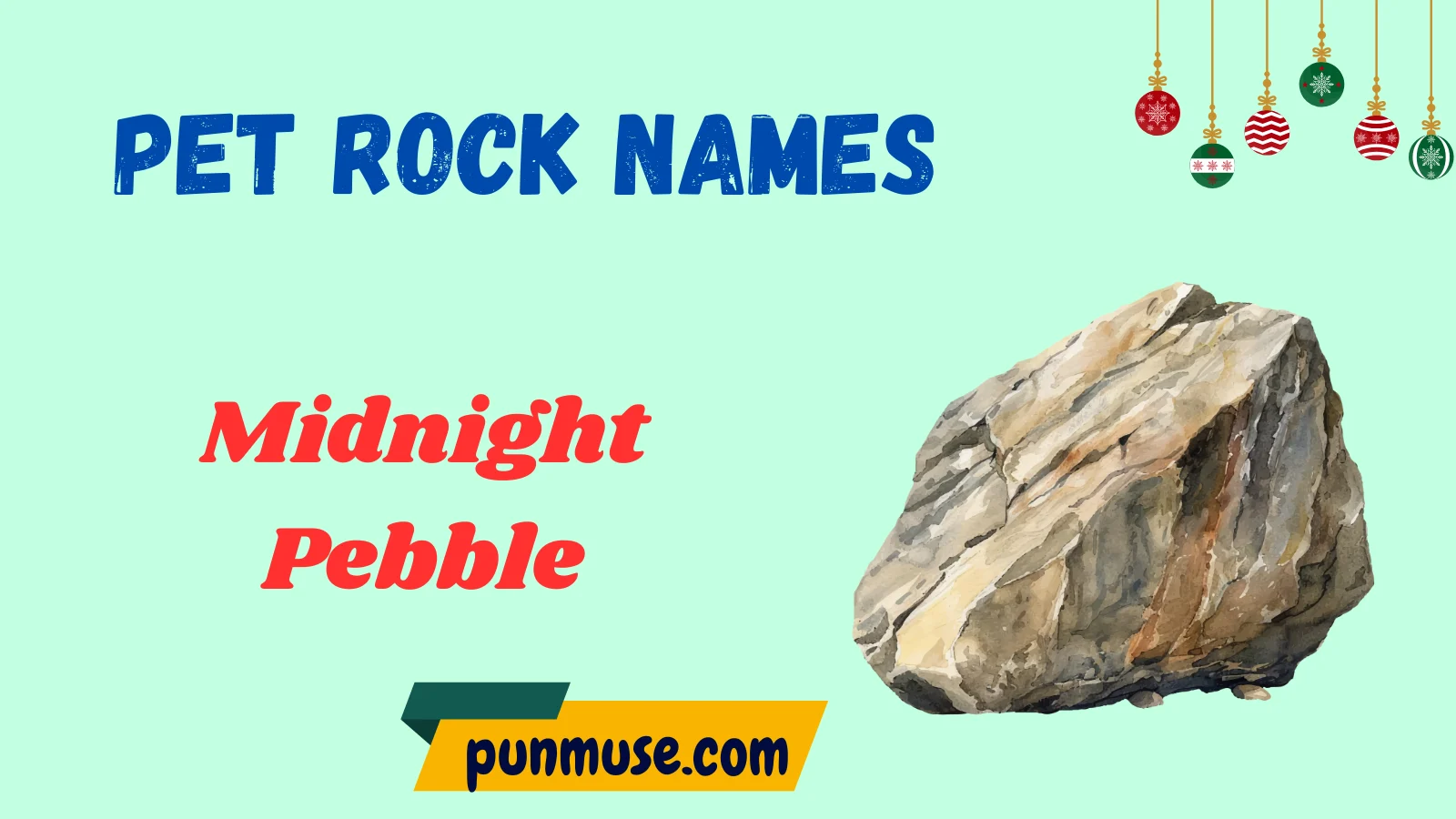 Cool Pet Rock Names