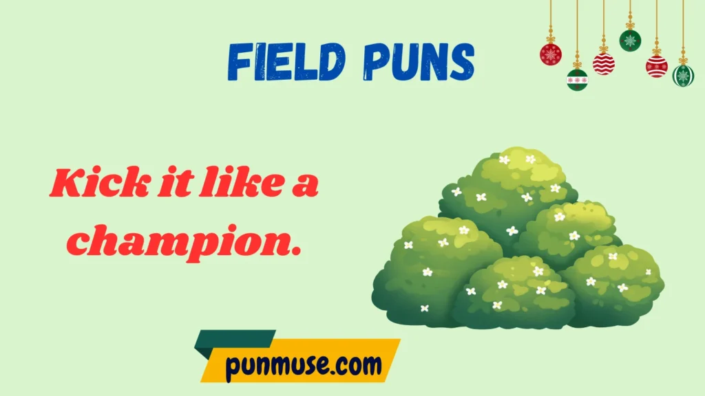 Football Field Puns