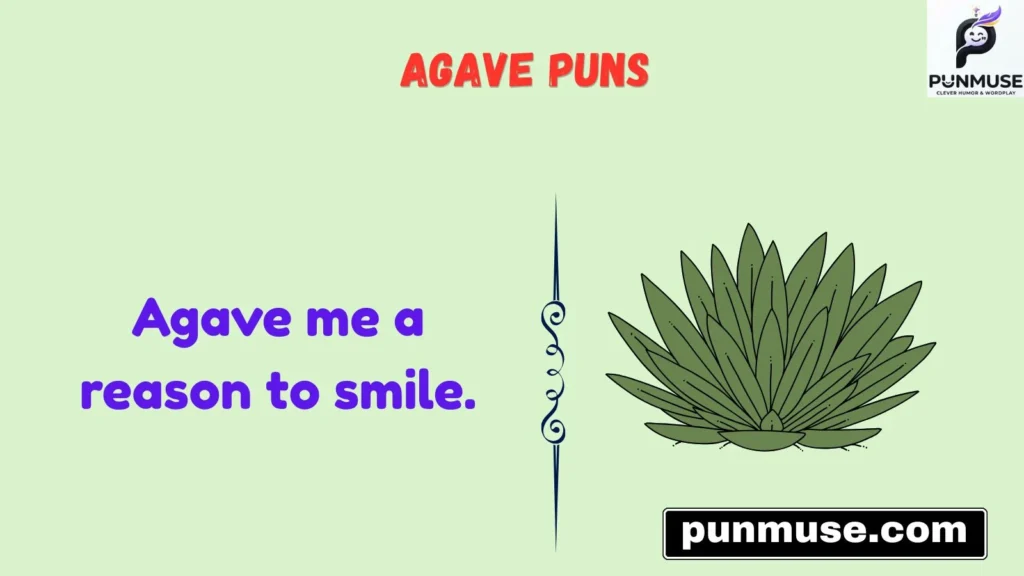 Funny Agave Puns