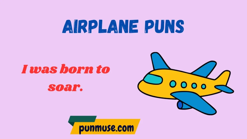 Funny Airplane Puns