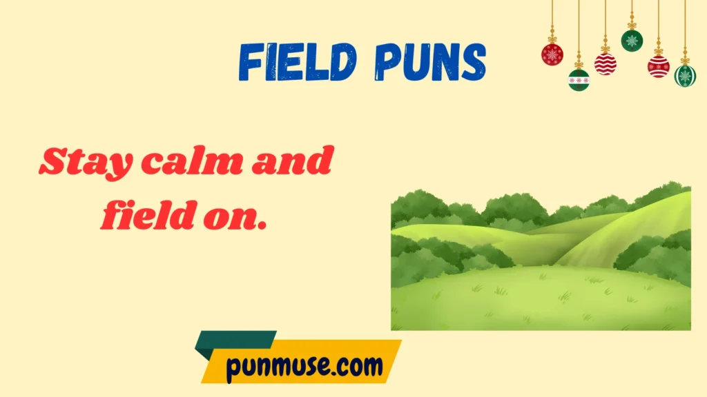 Funny Field Puns