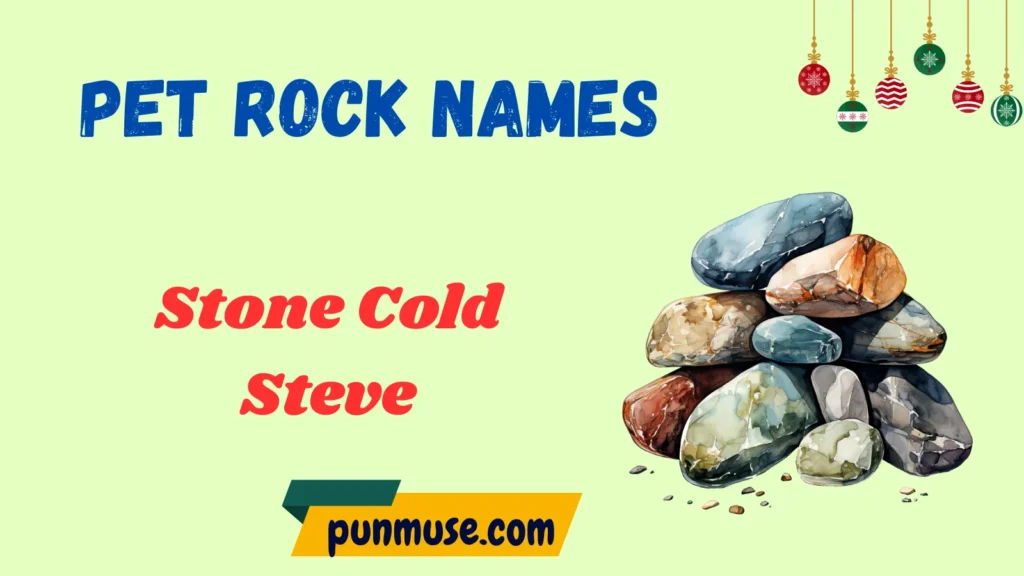 Funny Pet Rock Names
